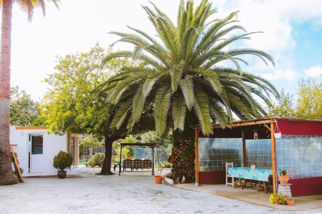 Villa Casita Gopal Icod De Los Vinos Esterno foto